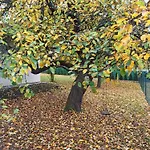 Holiday home Prazdninovy Dum Adrelot 33