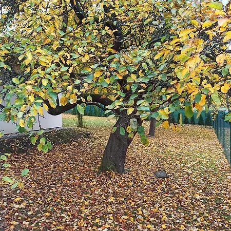 Prázdninový dům Adrelot 33